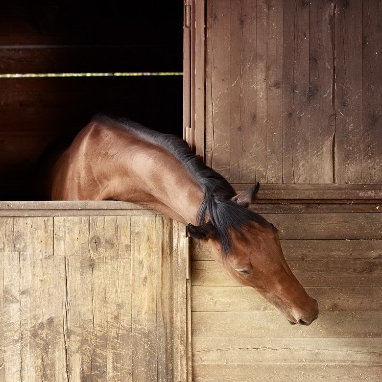 Melilla a Caballo