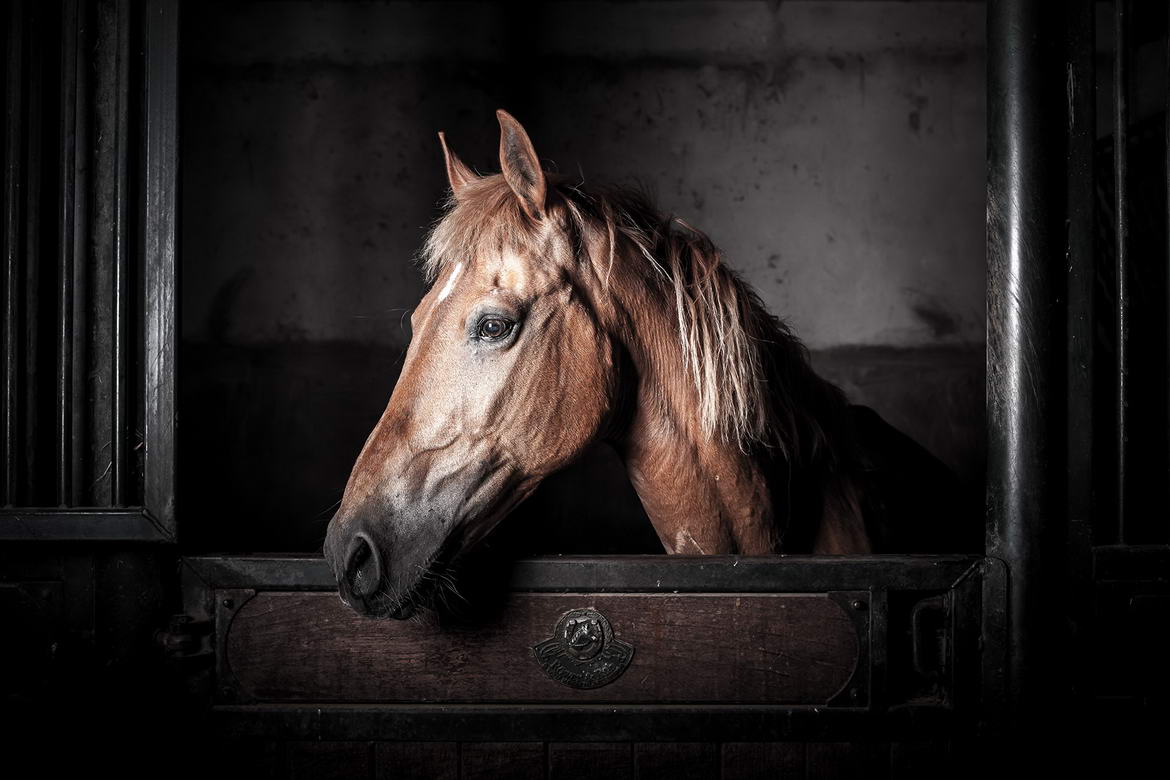 Melilla a Caballo