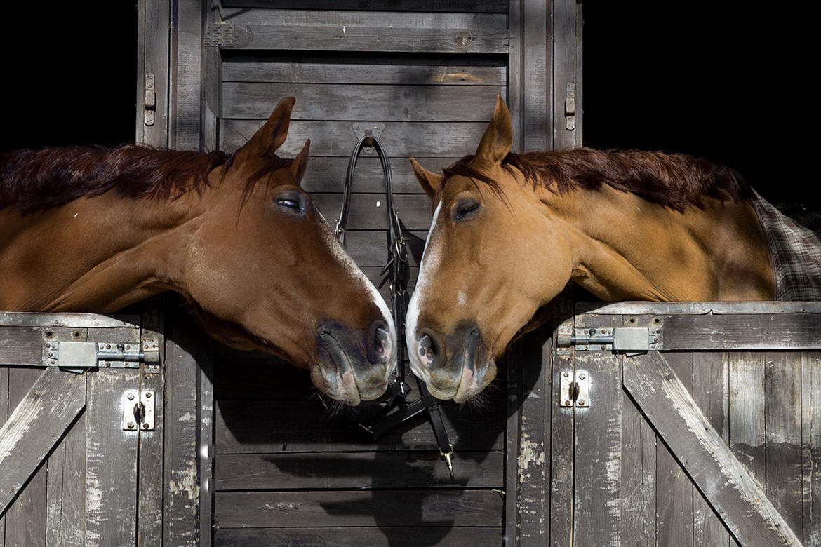 Melilla a Caballo