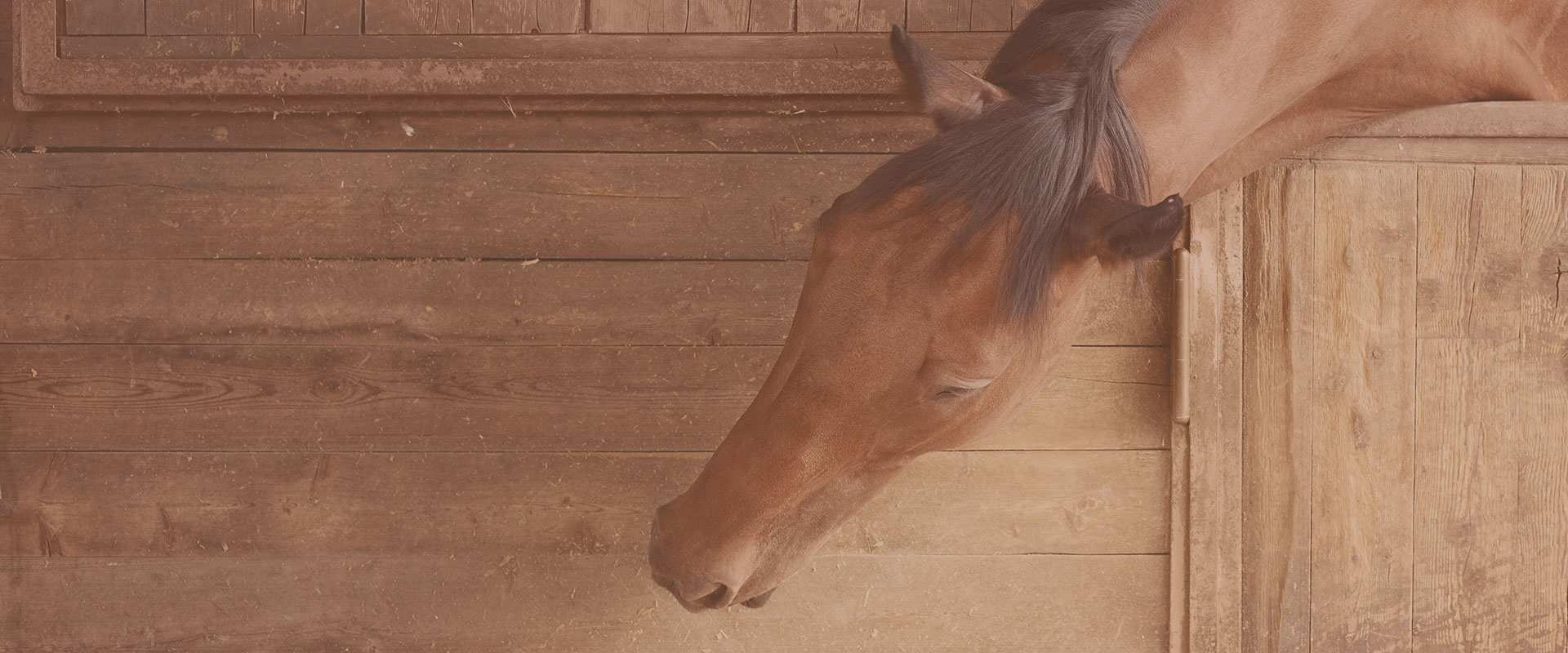 Melilla a Caballo